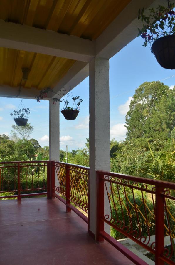 Aromarte Finca Hotel 菲兰迪亚 外观 照片