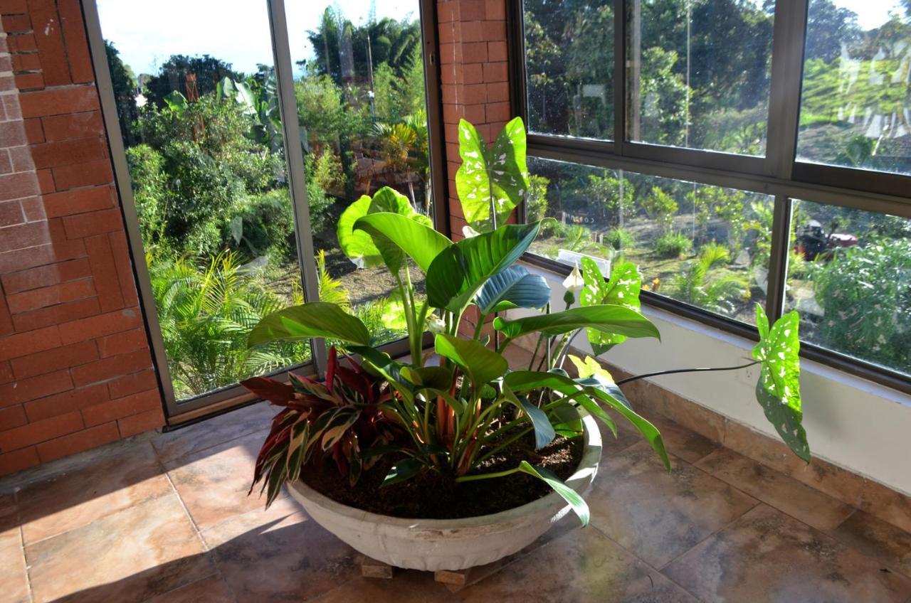 Aromarte Finca Hotel 菲兰迪亚 外观 照片